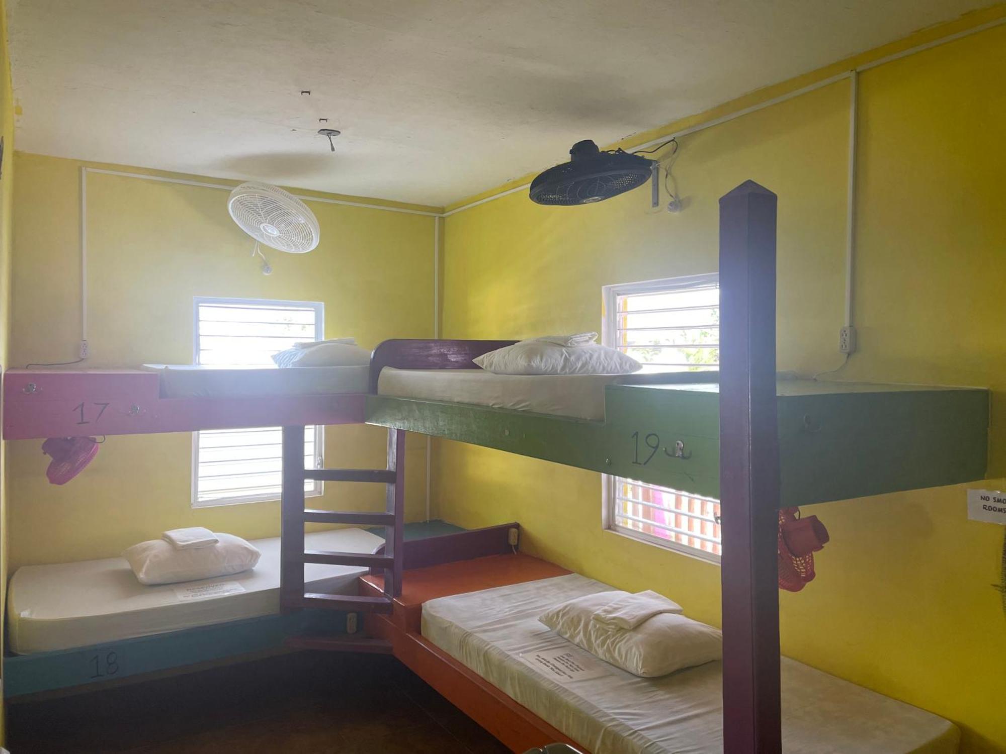 Travellers Palm Backpackers Hostel Caye Caulker Ngoại thất bức ảnh
