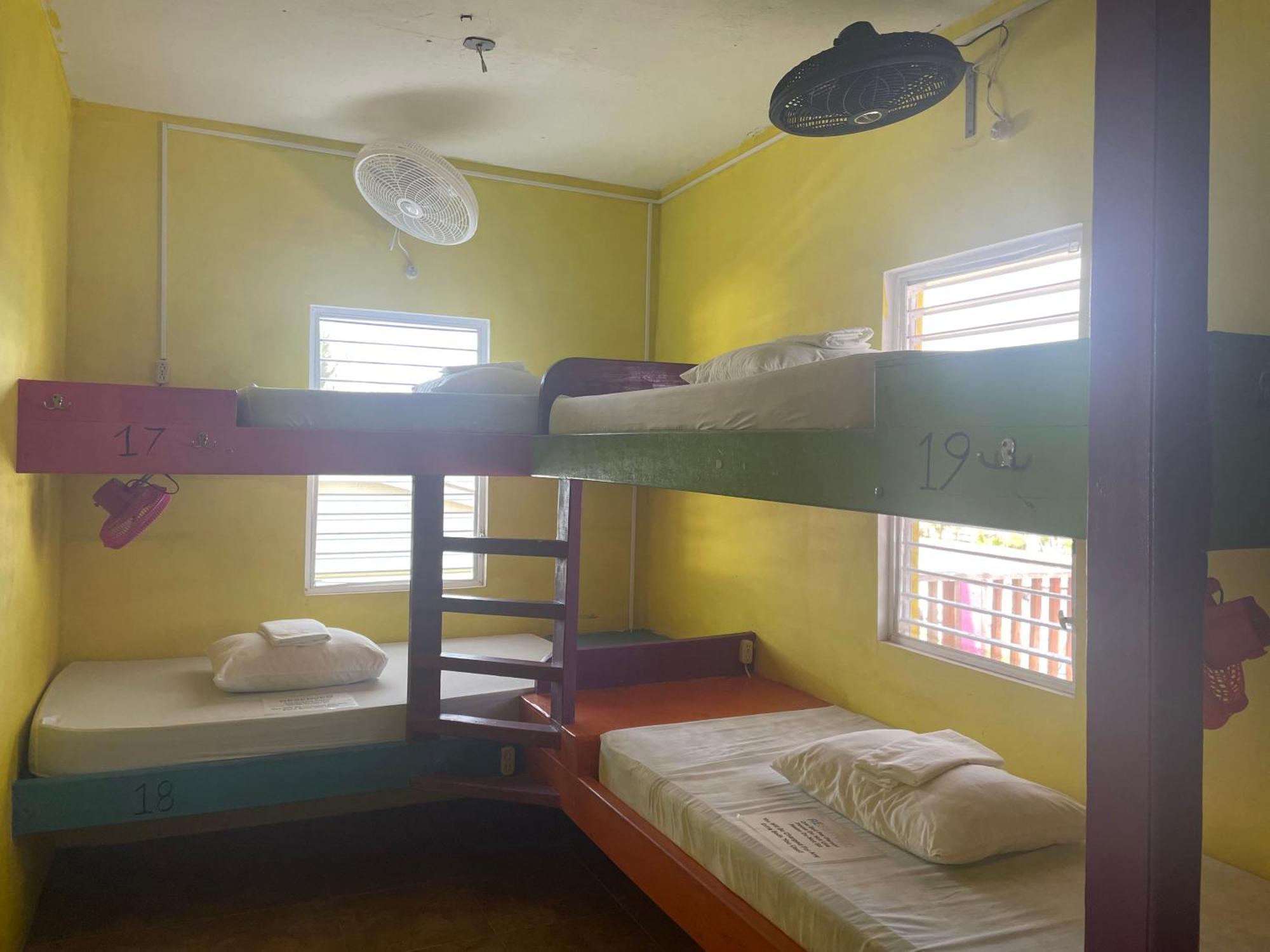 Travellers Palm Backpackers Hostel Caye Caulker Ngoại thất bức ảnh